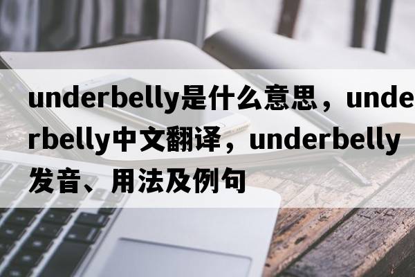 underbelly是什么意思，underbelly中文翻譯，underbelly發(fā)音、用法及例句