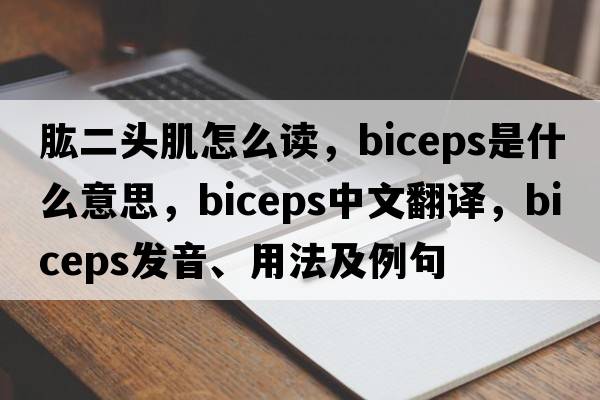 肱二頭肌怎么讀，biceps是什么意思，biceps中文翻譯，biceps發(fā)音、用法及例句