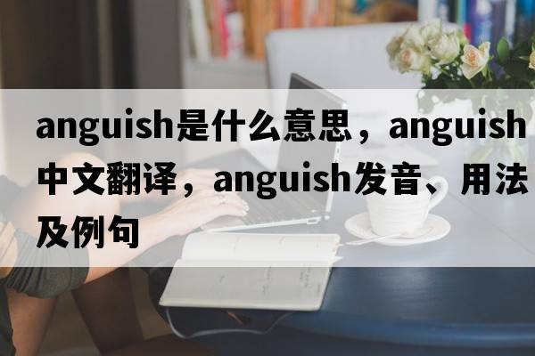anguish是什么意思，anguish中文翻譯，anguish發(fā)音、用法及例句
