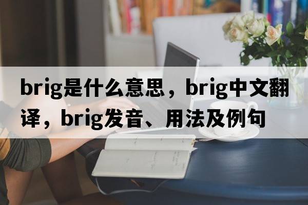 brig是什么意思，brig中文翻譯，brig發(fā)音、用法及例句