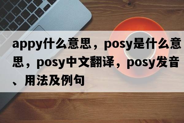 appy什么意思，posy是什么意思，posy中文翻譯，posy發(fā)音、用法及例句