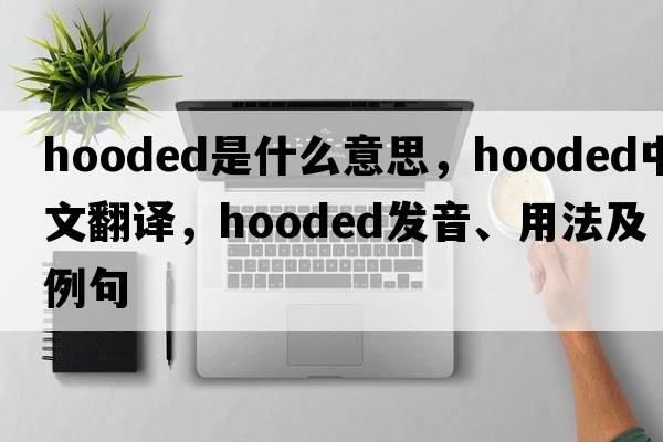 hooded是什么意思，hooded中文翻譯，hooded發(fā)音、用法及例句