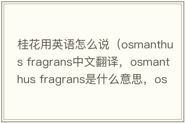 桂花用英語(yǔ)怎么說(shuō)（osmanthus fragrans中文翻譯，osmanthus fragrans是什么意思，osmanthus fragrans發(fā)音、用法及例句）