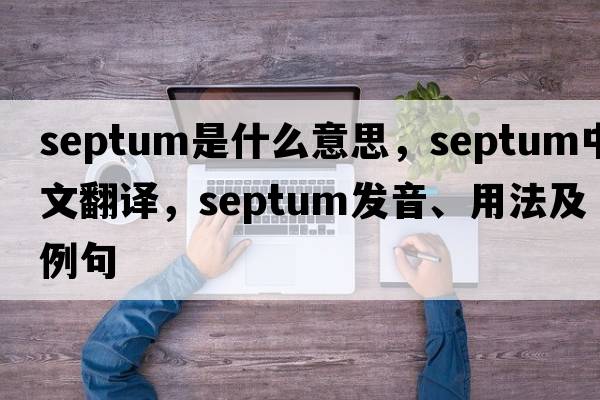 septum是什么意思，septum中文翻譯，septum發(fā)音、用法及例句