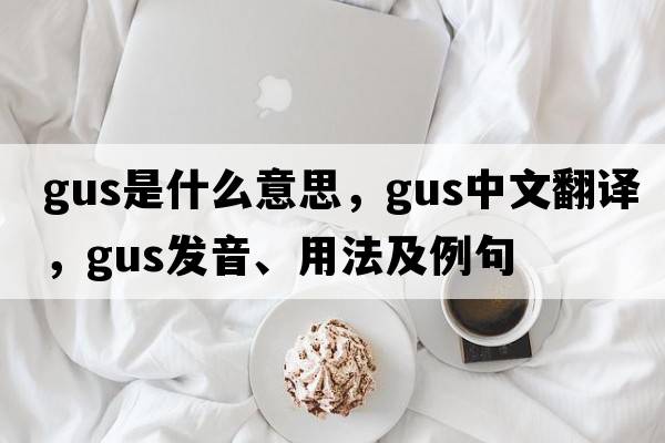 gus是什么意思，gus中文翻譯，gus發(fā)音、用法及例句
