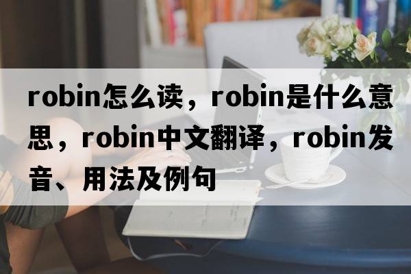 robin怎么讀，robin是什么意思，robin中文翻譯，robin發(fā)音、用法及例句