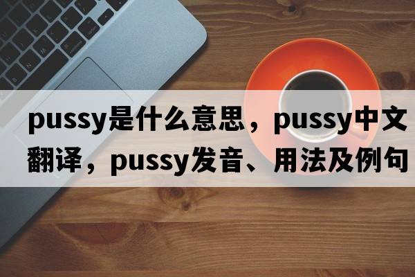 pussy是什么意思，pussy中文翻譯，pussy發(fā)音、用法及例句