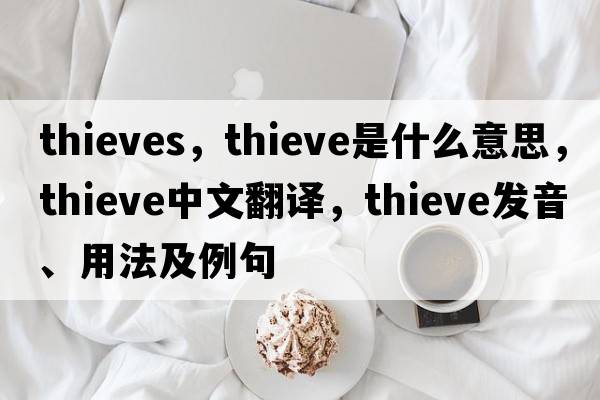 thieves，thieve是什么意思，thieve中文翻譯，thieve發(fā)音、用法及例句
