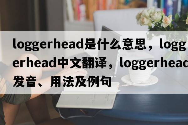 loggerhead是什么意思，loggerhead中文翻譯，loggerhead發(fā)音、用法及例句
