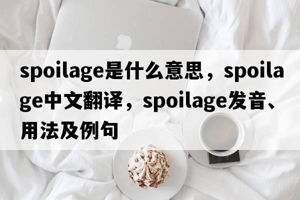 spoilage是什么意思，spoilage中文翻譯，spoilage發(fā)音、用法及例句