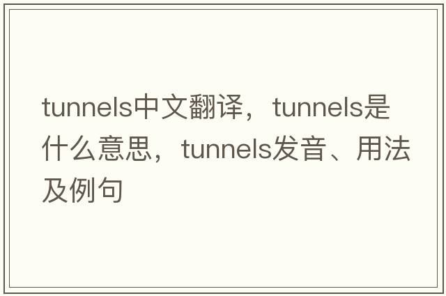 tunnels中文翻譯，tunnels是什么意思，tunnels發(fā)音、用法及例句