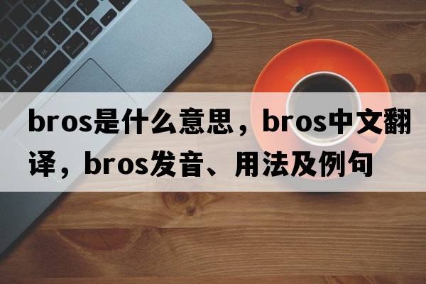 BROS是什么意思，BROS中文翻譯，BROS發(fā)音、用法及例句