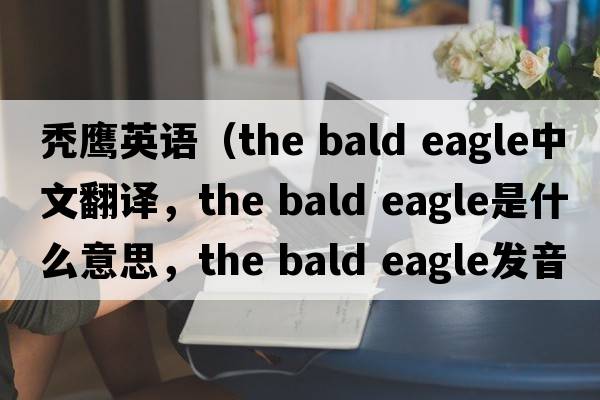 禿鷹英語（the bald eagle中文翻譯，the bald eagle是什么意思，the bald eagle發(fā)音、用法及例句）