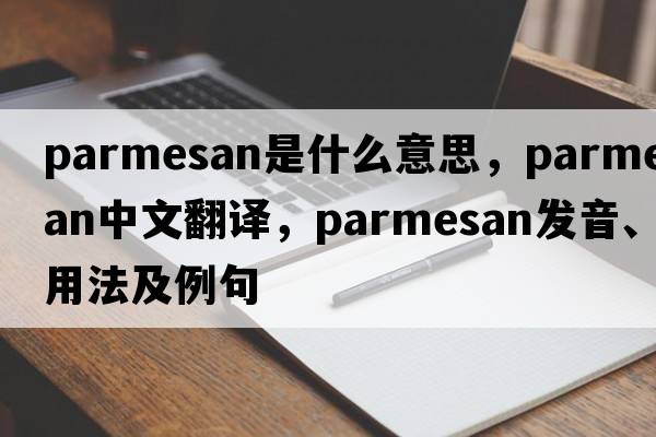 Parmesan是什么意思，Parmesan中文翻譯，Parmesan發(fā)音、用法及例句