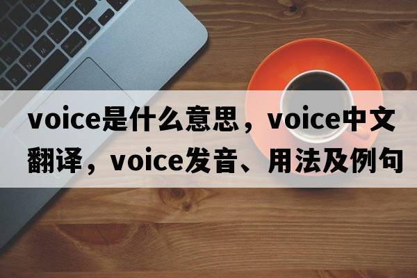 voice是什么意思，voice中文翻譯，voice發(fā)音、用法及例句