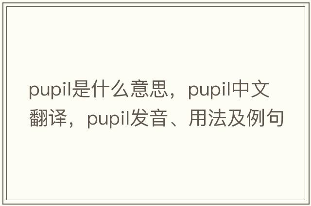 pupil是什么意思，pupil中文翻譯，pupil發(fā)音、用法及例句
