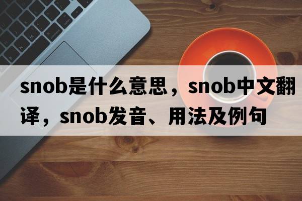 snob是什么意思，snob中文翻譯，snob發(fā)音、用法及例句