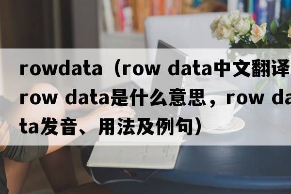 rowdata（row data中文翻譯，row data是什么意思，row data發(fā)音、用法及例句）