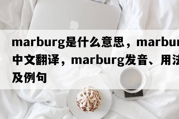 Marburg是什么意思，Marburg中文翻譯，Marburg發(fā)音、用法及例句