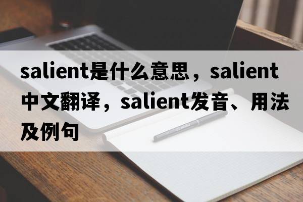 salient是什么意思，salient中文翻譯，salient發(fā)音、用法及例句