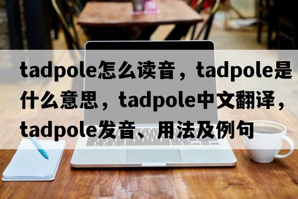 tadpole怎么讀音，tadpole是什么意思，tadpole中文翻譯，tadpole發(fā)音、用法及例句