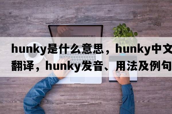 hunky是什么意思，hunky中文翻譯，hunky發(fā)音、用法及例句