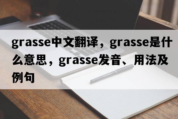 Grasse中文翻譯，Grasse是什么意思，Grasse發(fā)音、用法及例句