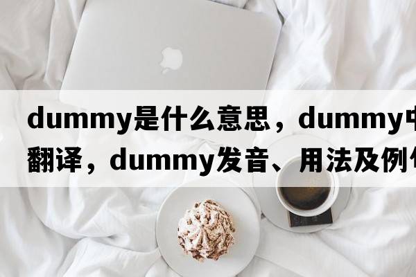 dummy是什么意思，dummy中文翻譯，dummy發(fā)音、用法及例句