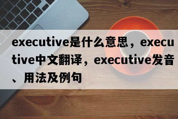 executive是什么意思，executive中文翻譯，executive發(fā)音、用法及例句