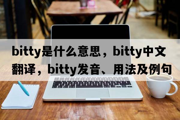 bitty是什么意思，bitty中文翻譯，bitty發(fā)音、用法及例句