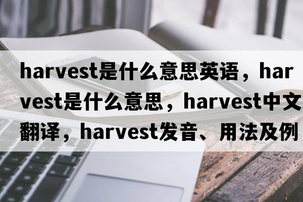 harvest是什么意思英語(yǔ)，harvest是什么意思，harvest中文翻譯，harvest發(fā)音、用法及例句