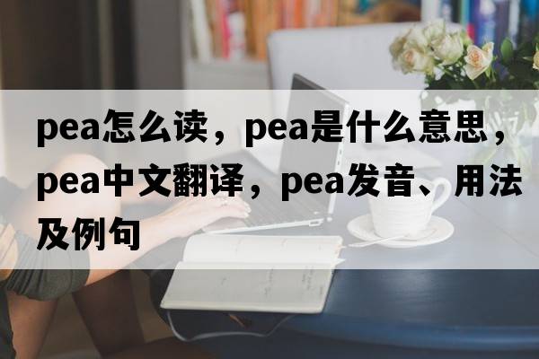 pea怎么讀，pea是什么意思，pea中文翻譯，pea發(fā)音、用法及例句