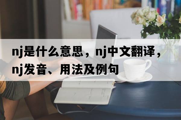 nj是什么意思，nj中文翻譯，nj發(fā)音、用法及例句