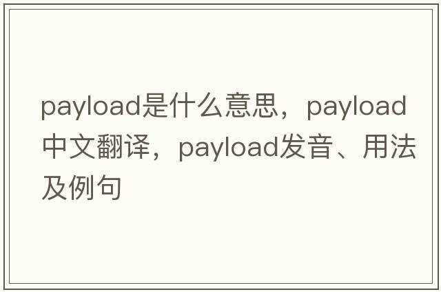 payload是什么意思，payload中文翻譯，payload發(fā)音、用法及例句