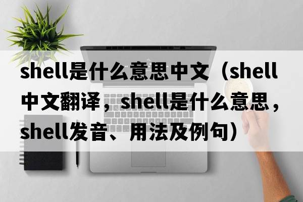 shell是什么意思中文（shell中文翻譯，shell是什么意思，shell發(fā)音、用法及例句）