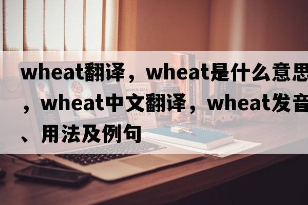 wheat翻譯，wheat是什么意思，wheat中文翻譯，wheat發(fā)音、用法及例句