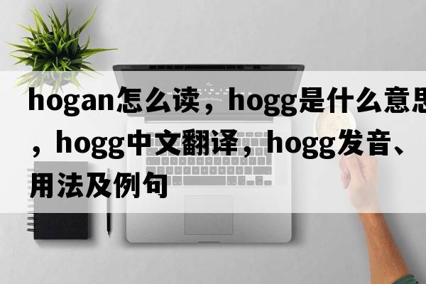 hogan怎么讀，Hogg是什么意思，Hogg中文翻譯，Hogg發(fā)音、用法及例句