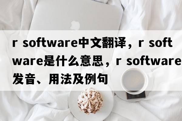 r software中文翻譯，r software是什么意思，r software發(fā)音、用法及例句