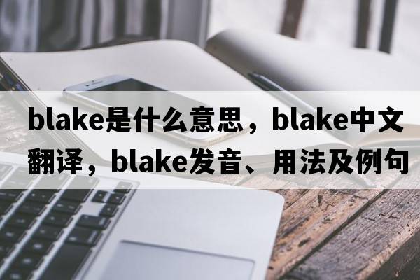 blake是什么意思，blake中文翻譯，blake發(fā)音、用法及例句