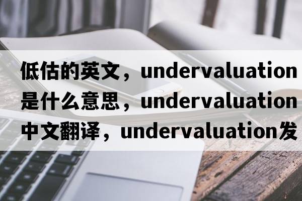 低估的英文，undervaluation是什么意思，undervaluation中文翻譯，undervaluation發(fā)音、用法及例句