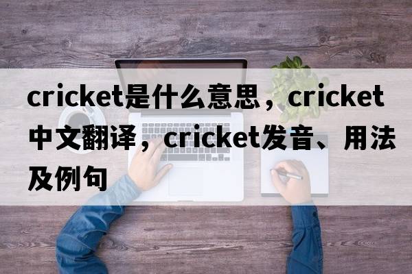 cricket是什么意思，cricket中文翻譯，cricket發(fā)音、用法及例句