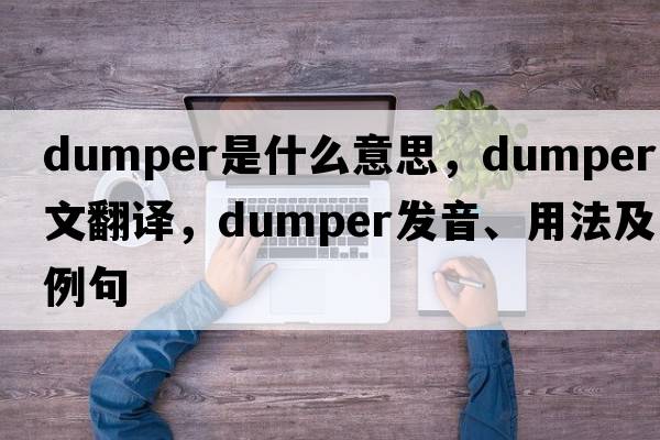 dumper是什么意思，dumper中文翻譯，dumper發(fā)音、用法及例句