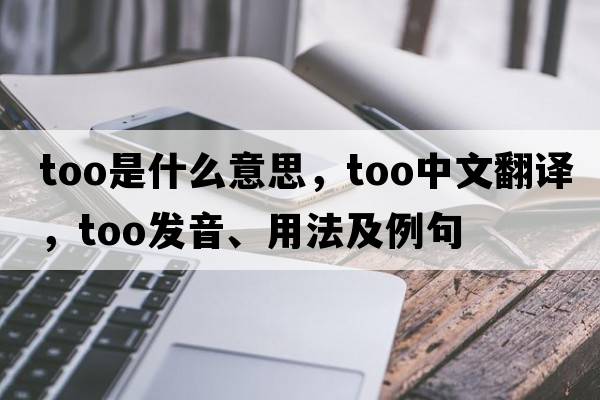 too是什么意思，too中文翻譯，too發(fā)音、用法及例句