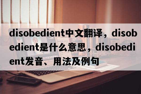 disobedient中文翻譯，disobedient是什么意思，disobedient發(fā)音、用法及例句