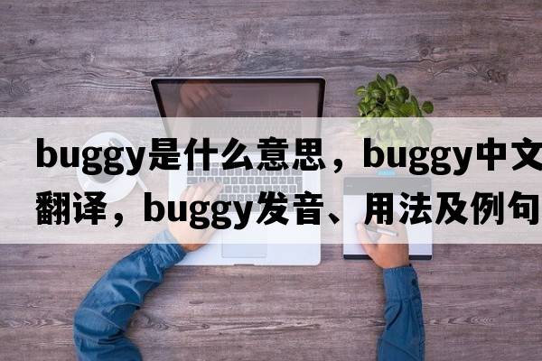 buggy是什么意思，buggy中文翻譯，buggy發(fā)音、用法及例句