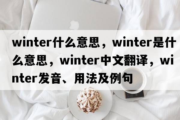 winter什么意思，winter是什么意思，winter中文翻譯，winter發(fā)音、用法及例句