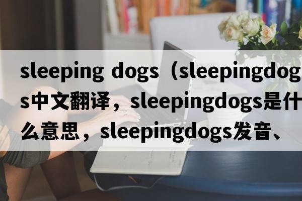 sleeping dogs（sleepingdogs中文翻譯，sleepingdogs是什么意思，sleepingdogs發(fā)音、用法及例句）