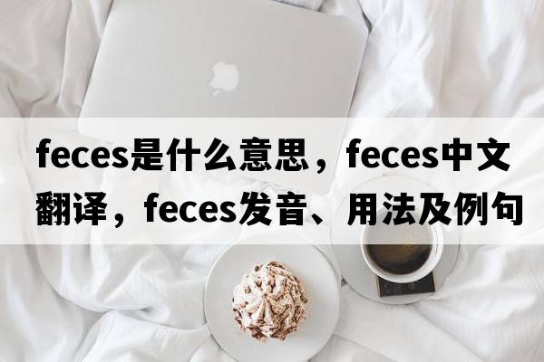 feces是什么意思，feces中文翻譯，feces發(fā)音、用法及例句