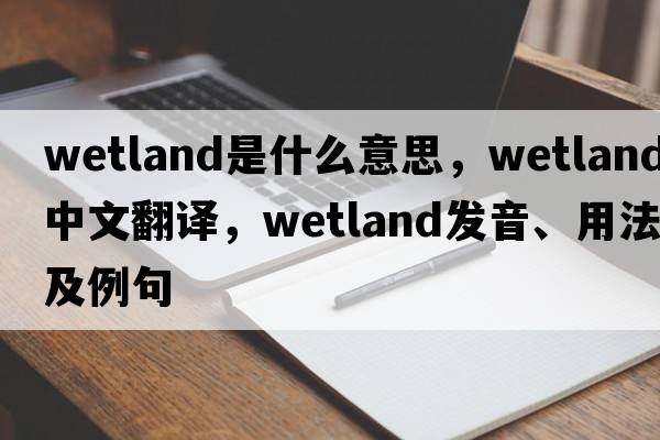 wetland是什么意思，wetland中文翻譯，wetland發(fā)音、用法及例句