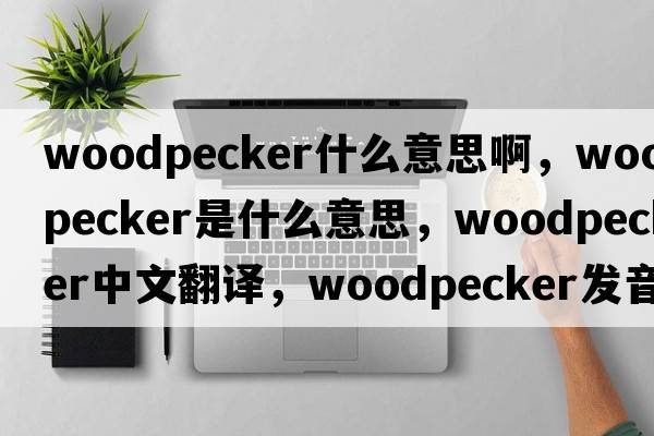 woodpecker什么意思啊，woodpecker是什么意思，woodpecker中文翻譯，woodpecker發(fā)音、用法及例句